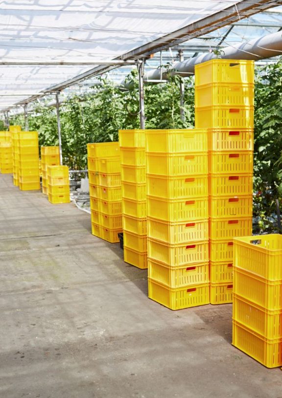 Aquagrico Farms delivers reliable agro-logistics solutions that bridge the gap between farms and markets.