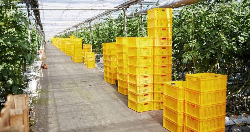 Aquagrico Farms delivers reliable agro-logistics solutions that bridge the gap between farms and markets.
