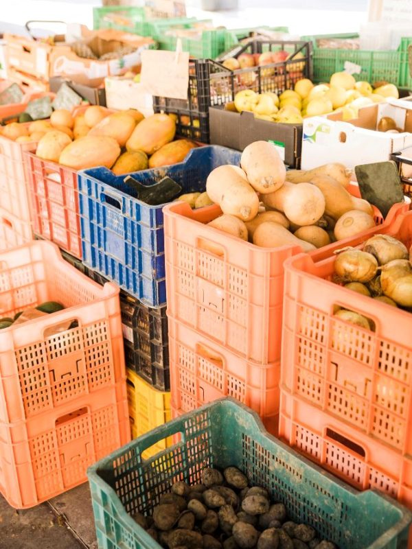 Aquagrico Farms delivers reliable agro-logistics solutions that bridge the gap between farms and markets.