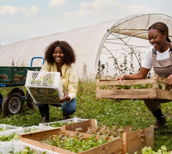 Farm consultation and management services built around the understanding that no two farms are the same.