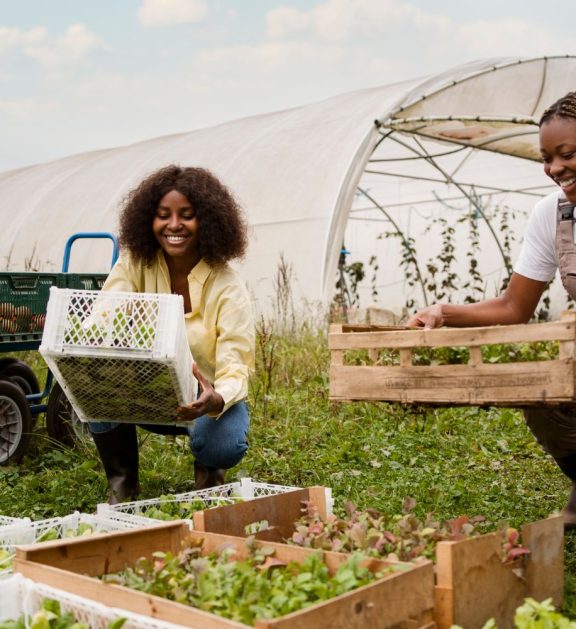 Farm consultation and management services built around the understanding that no two farms are the same.