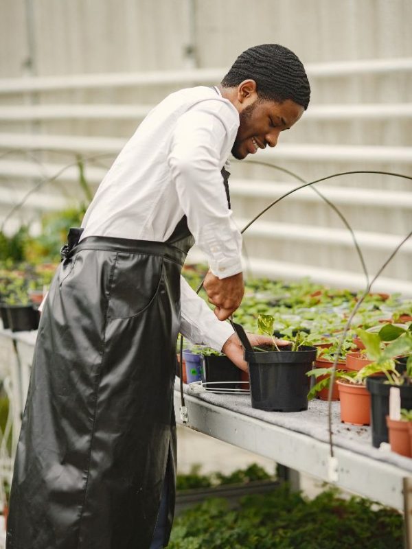 Our greenhouse farming solutions are designed to eliminate the limitations of weather, seasonality, and environmental risks.